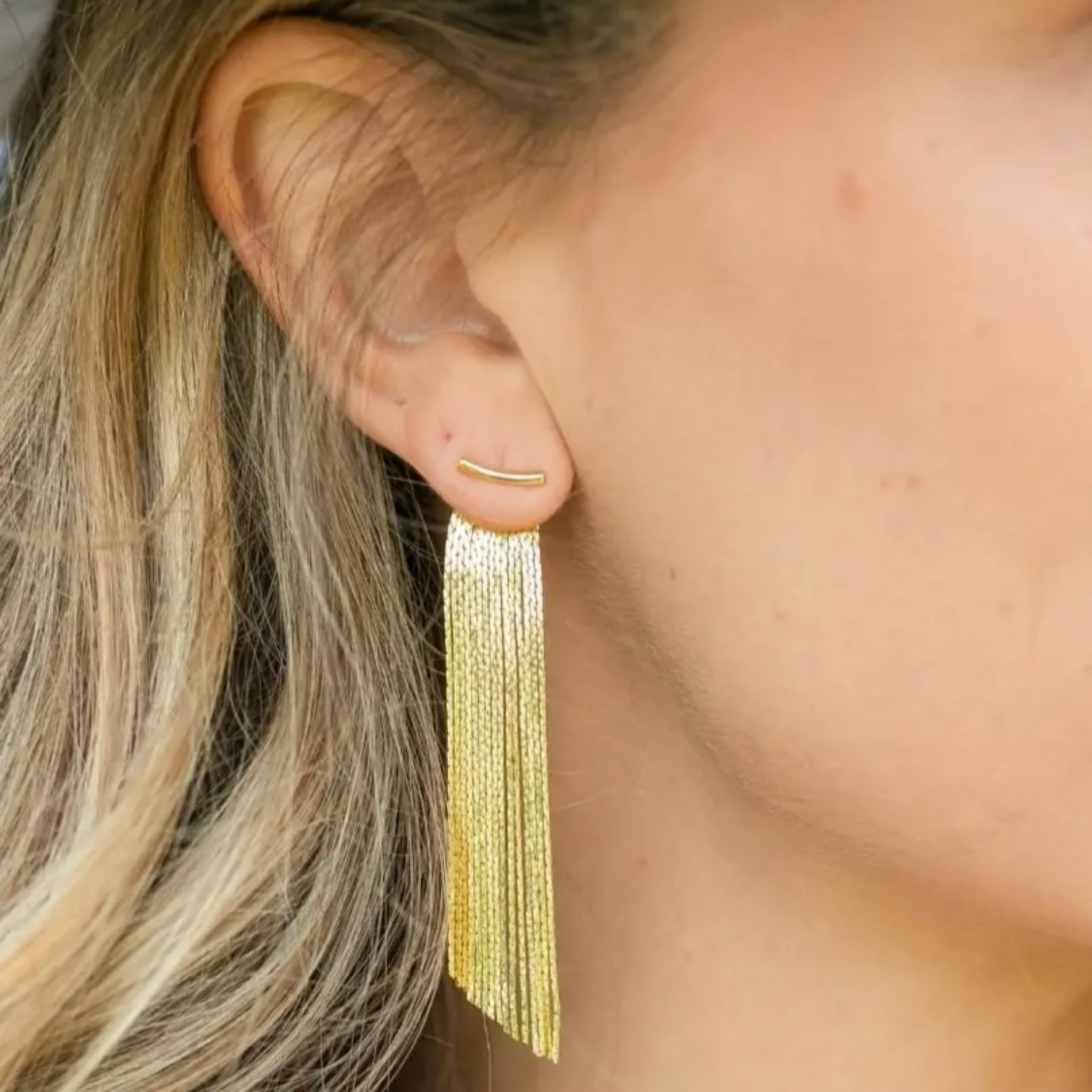 Silver Back Accented Long Earrings