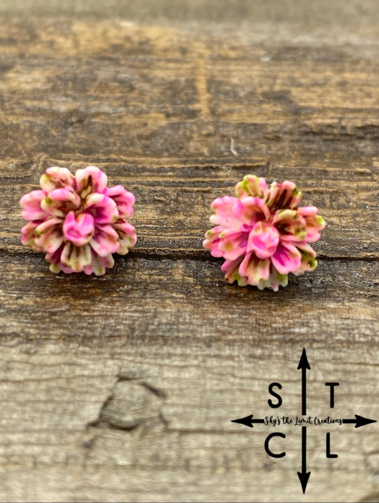 Succulent 5 Pink Green